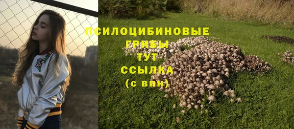 крисы Дмитриев