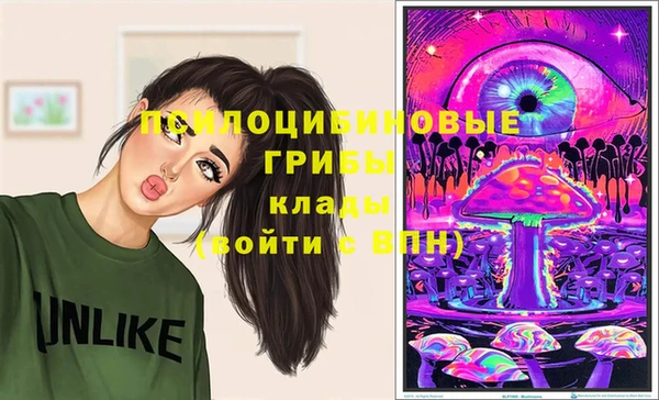 крисы Дмитриев
