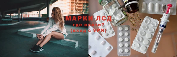 крисы Дмитриев